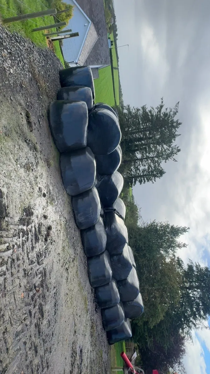 Silage Bales - Image 3
