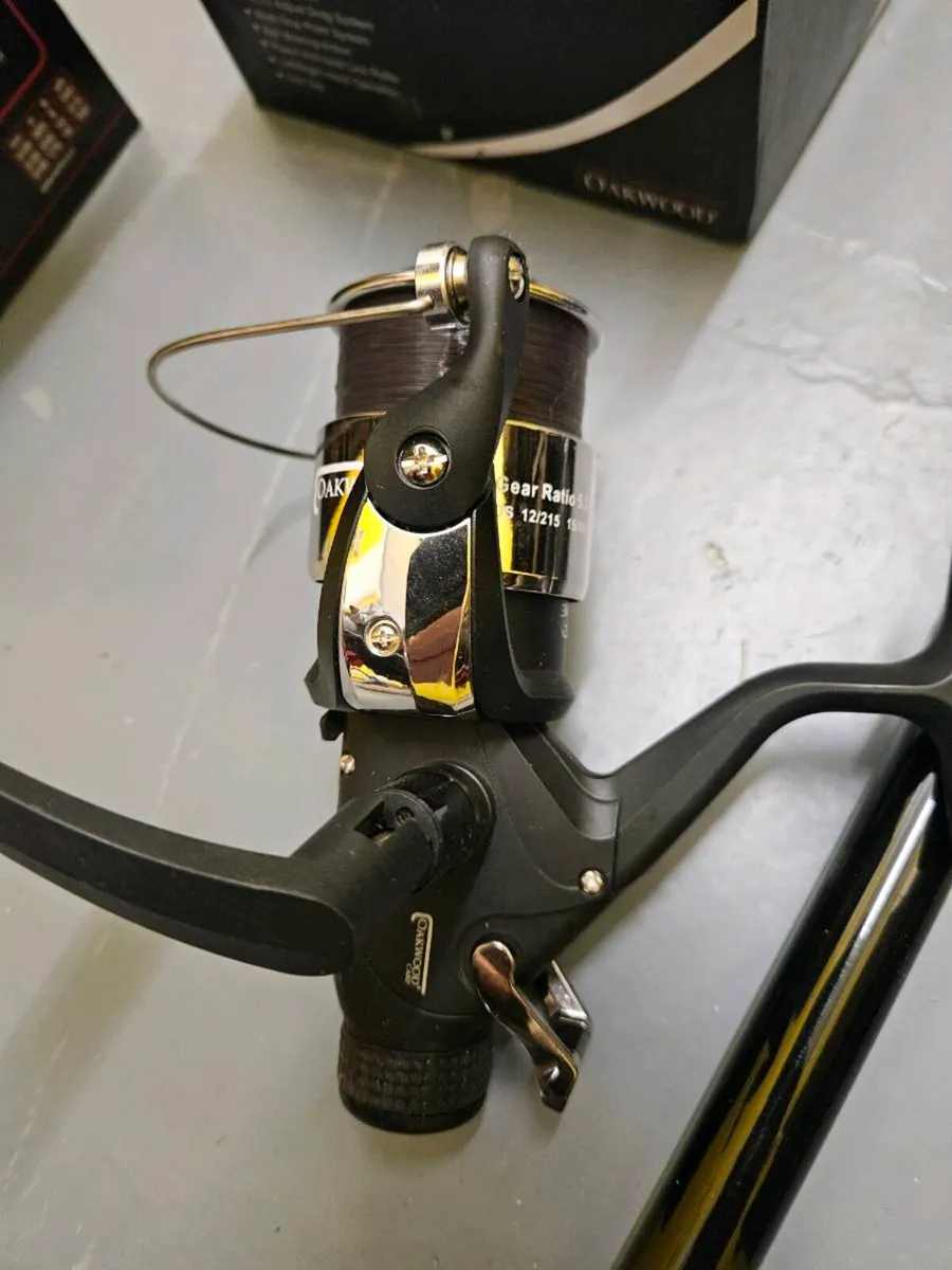 Carp/pike rob&reels - Image 2