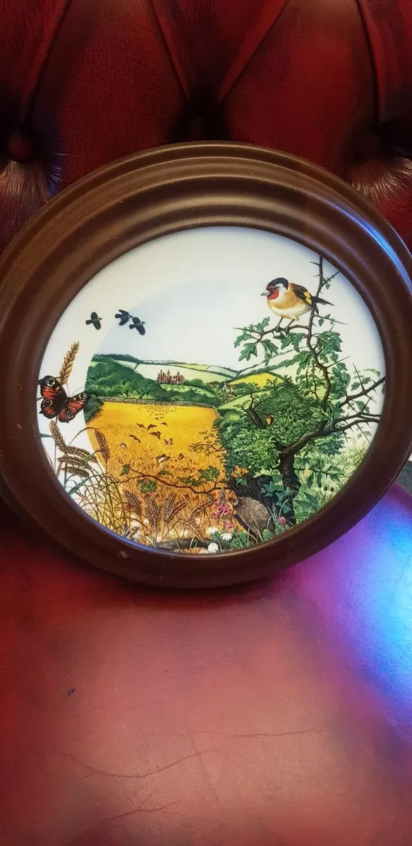 Vintage wedgwood plate collection - Image 3