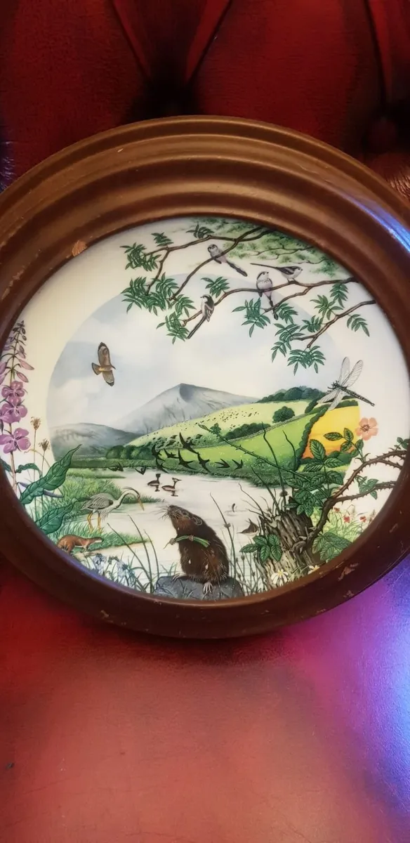 Vintage wedgwood plate collection - Image 4