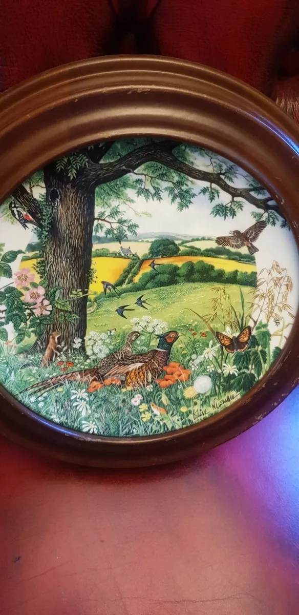 Vintage wedgwood plate collection - Image 2