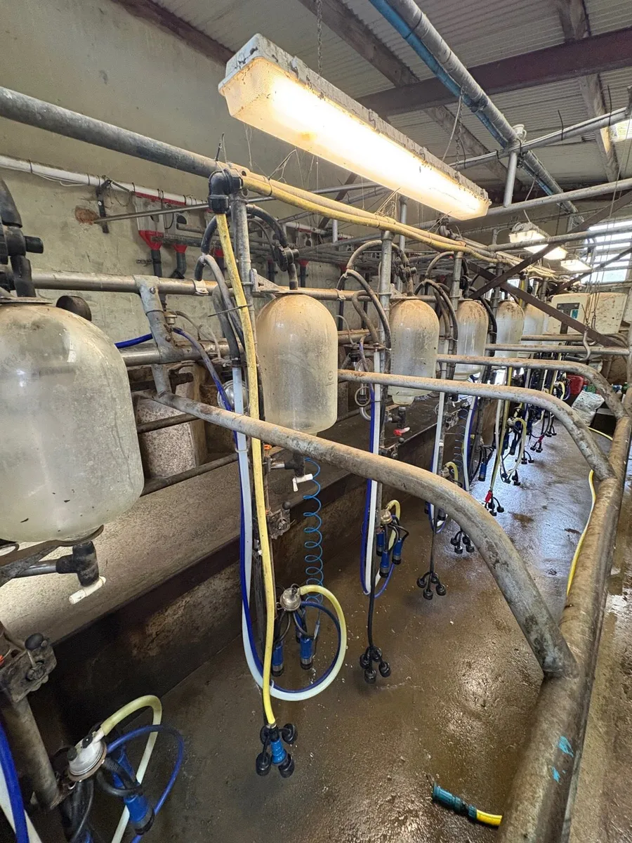 Milking Parlour - Image 2