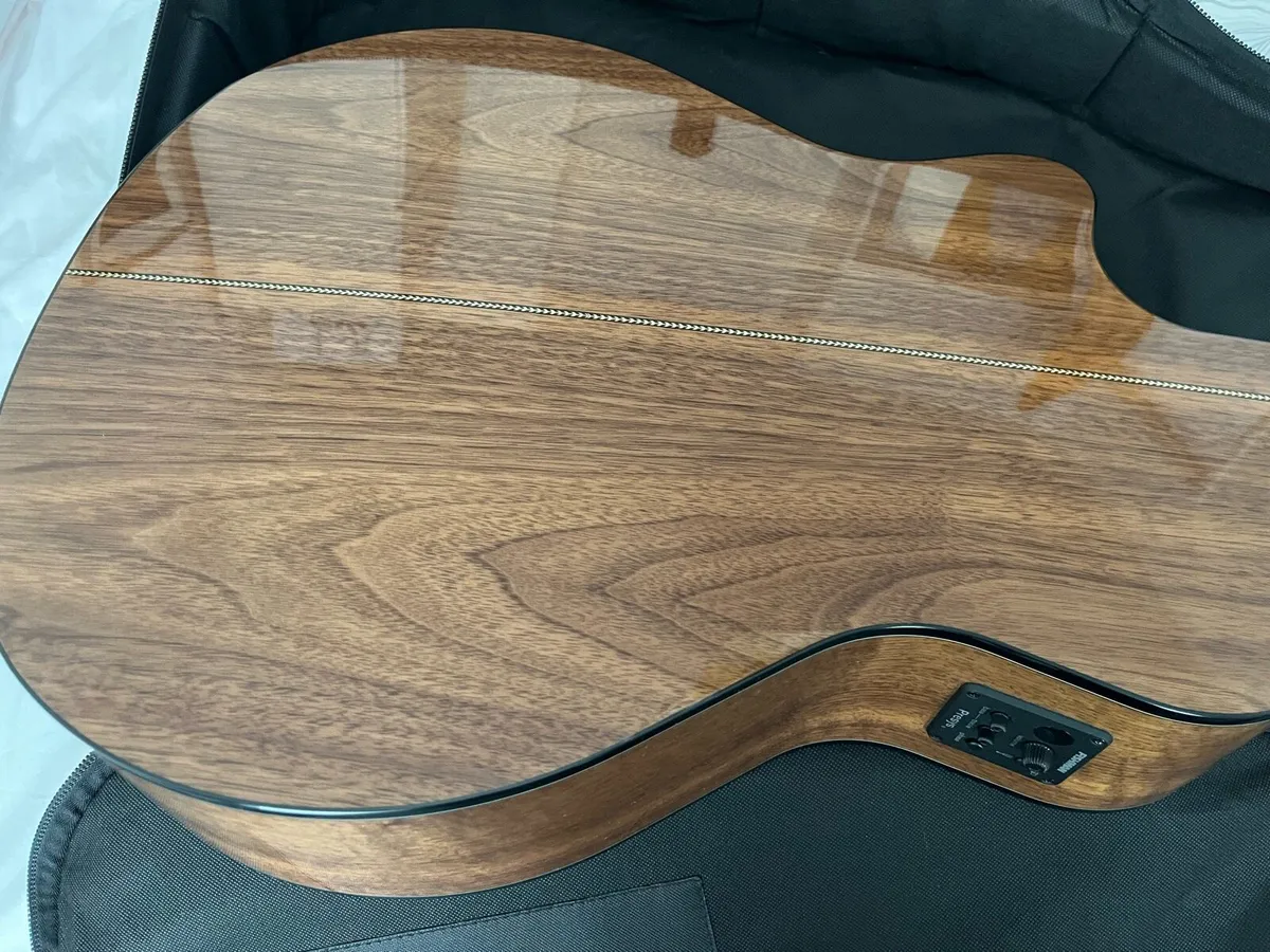 Guitar - Image 3