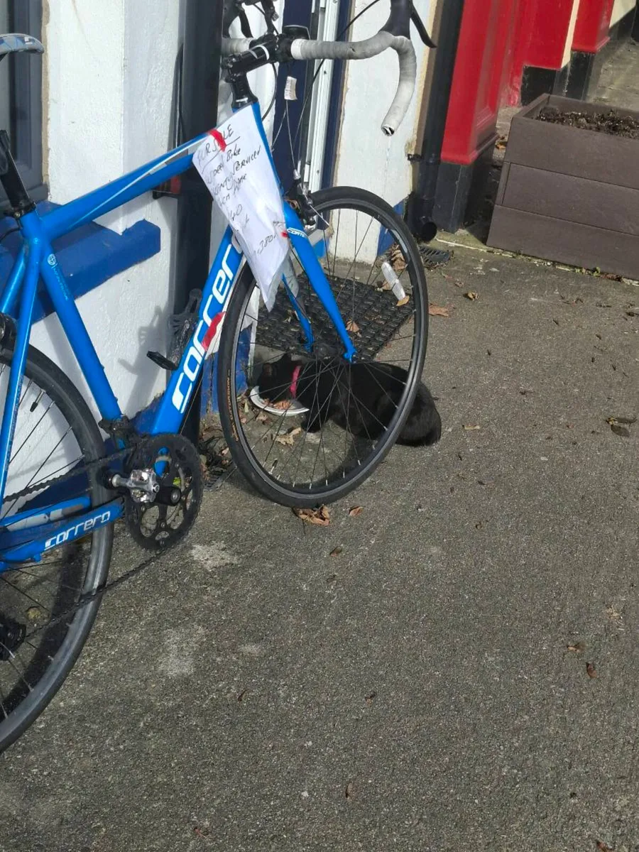 Racing Bike - Image 2