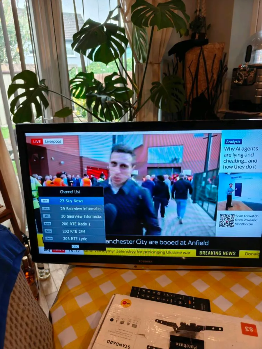 29 inch Toshiba TV - Image 3