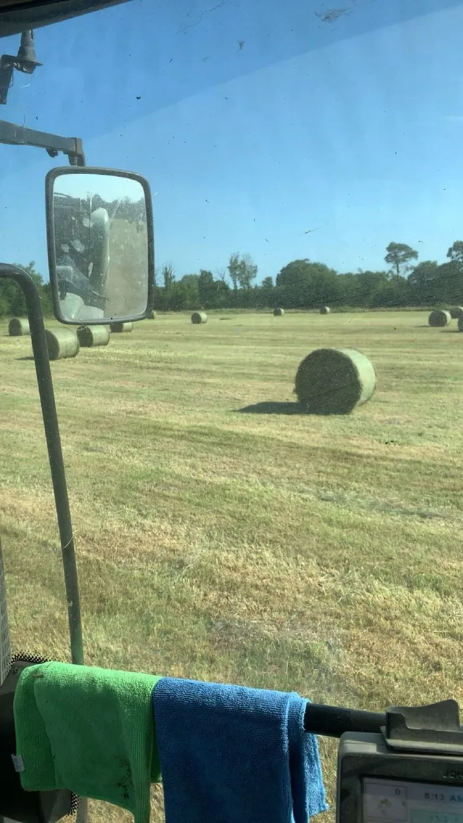 2026 green hay - Image 1