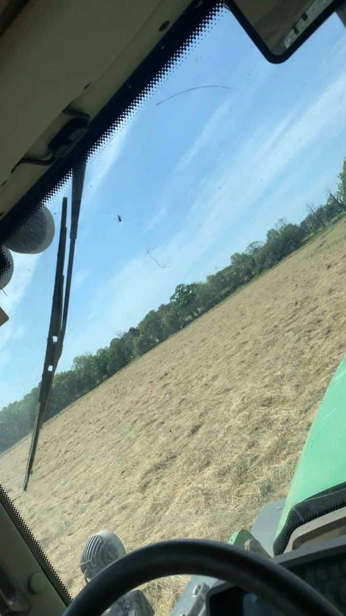 2026 green hay - Image 2