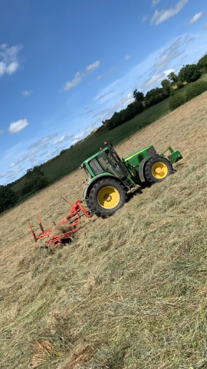2026 green hay - Image 3