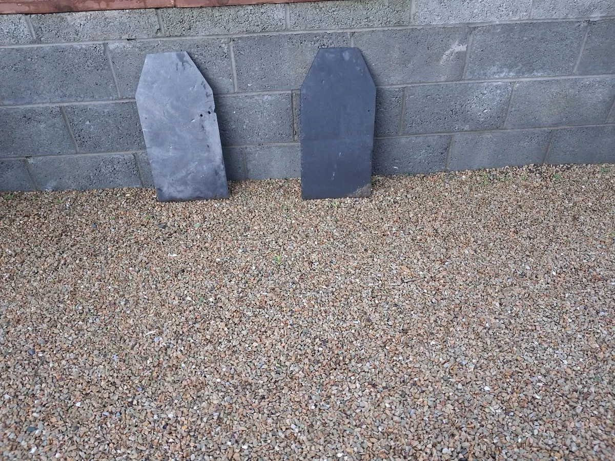 Halloween - Image 3