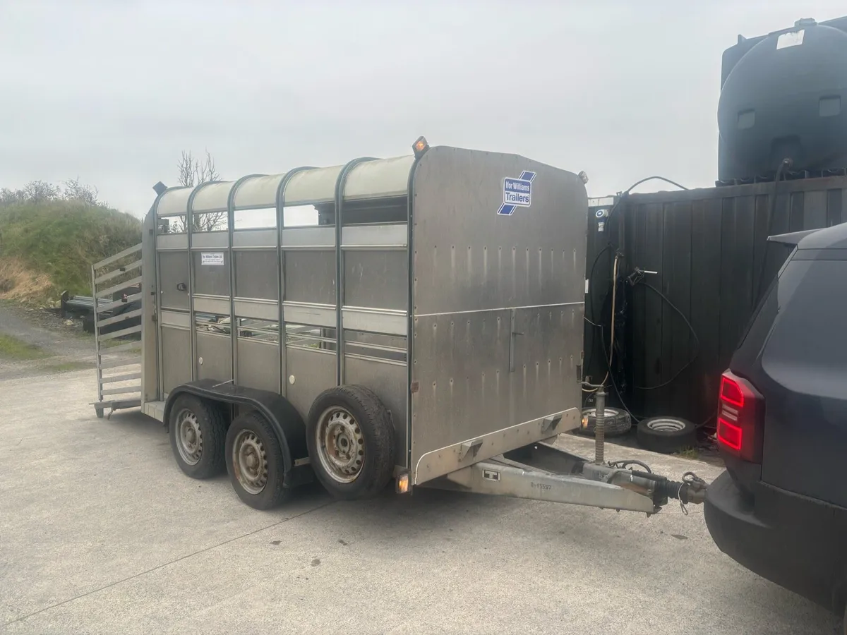 10x6 Ifor Williams Livestock Trailer Choice of 2 - Image 1