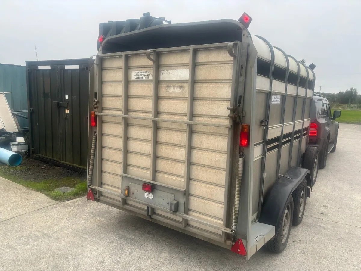 10x6 Ifor Williams Livestock Trailer Choice of 2 - Image 3