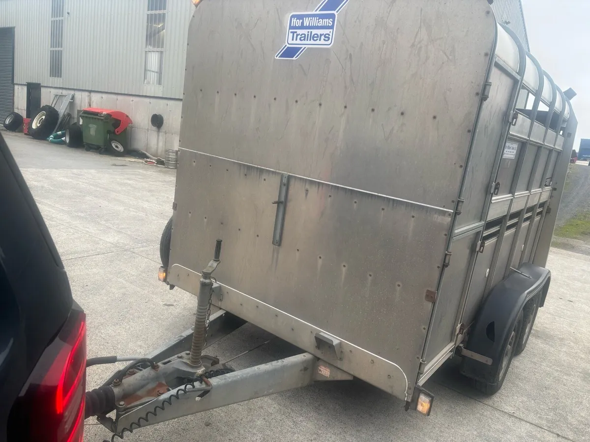 10x6 Ifor Williams Livestock Trailer Choice of 2 - Image 4
