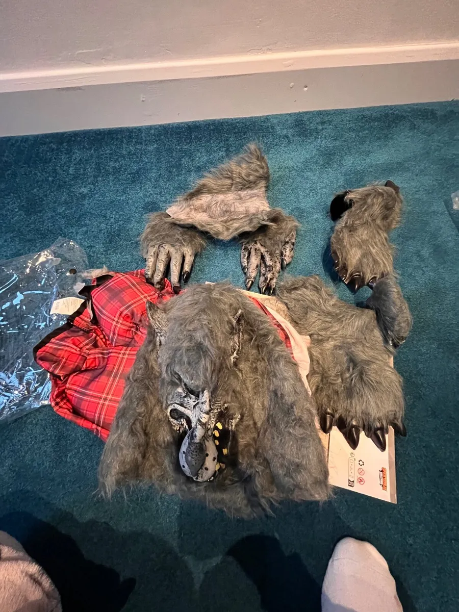 Halloween costumes - Image 2