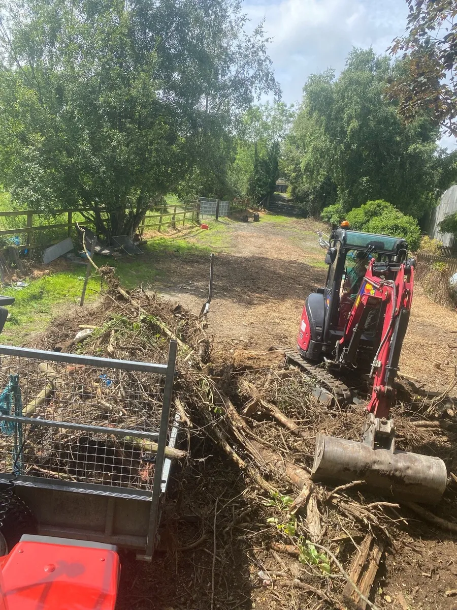 YARD/FARM CLEAN UP SERVICE 🚜🧹 - Image 3