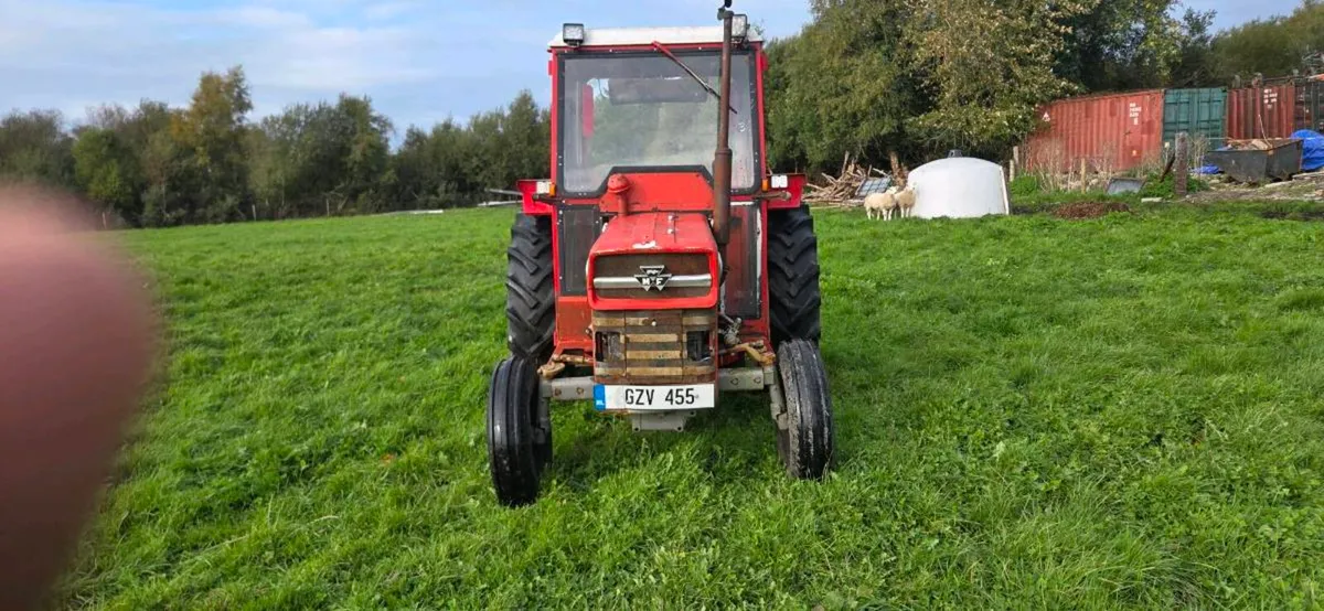 Massey Ferguson  135 - Image 1
