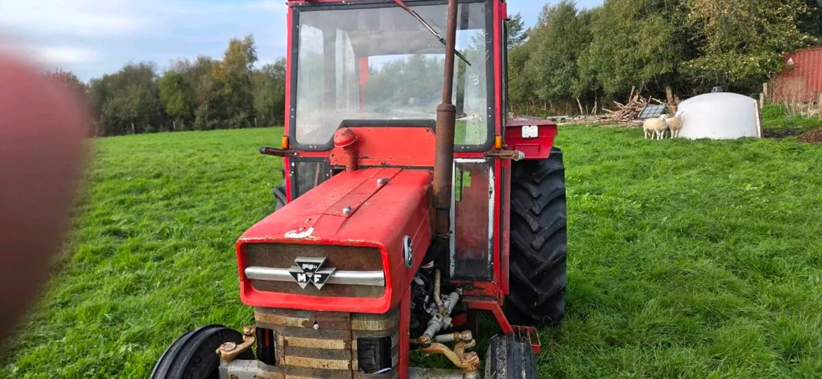 Massey Ferguson  135 - Image 2