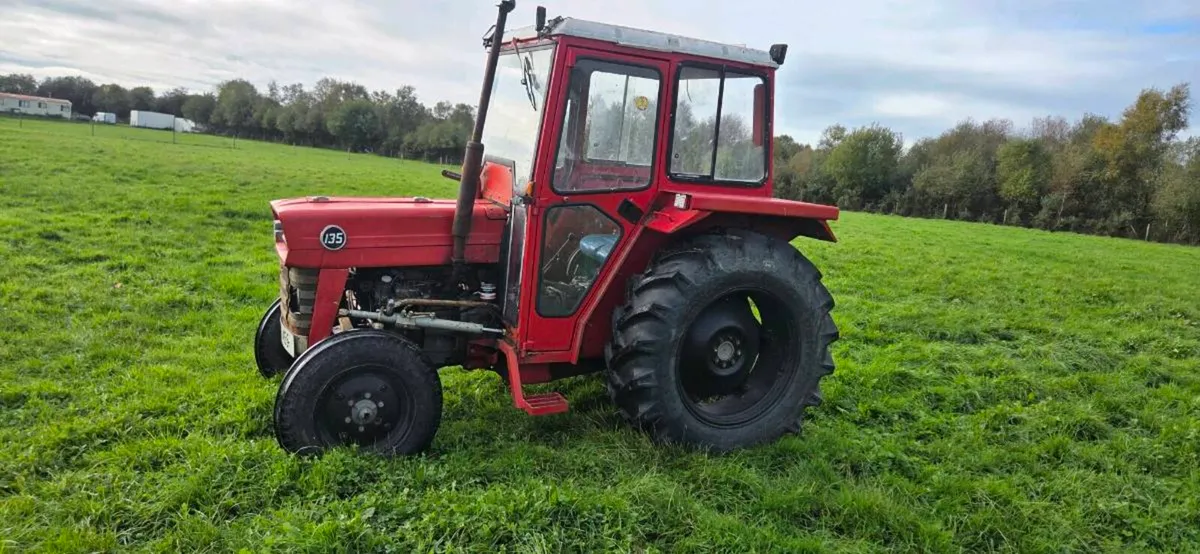 Massey Ferguson  135 - Image 4