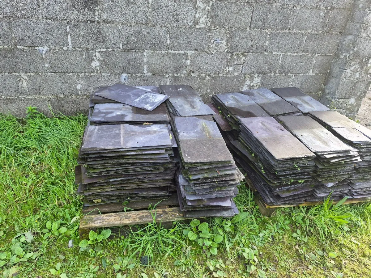 Blue Bangor Slates - Image 1
