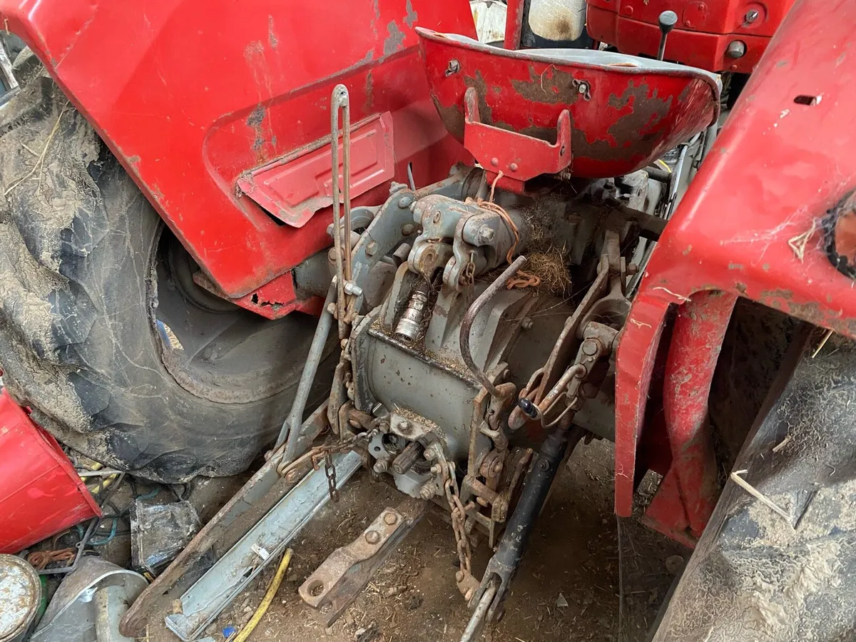 Massey Ferguson 135 - Image 4