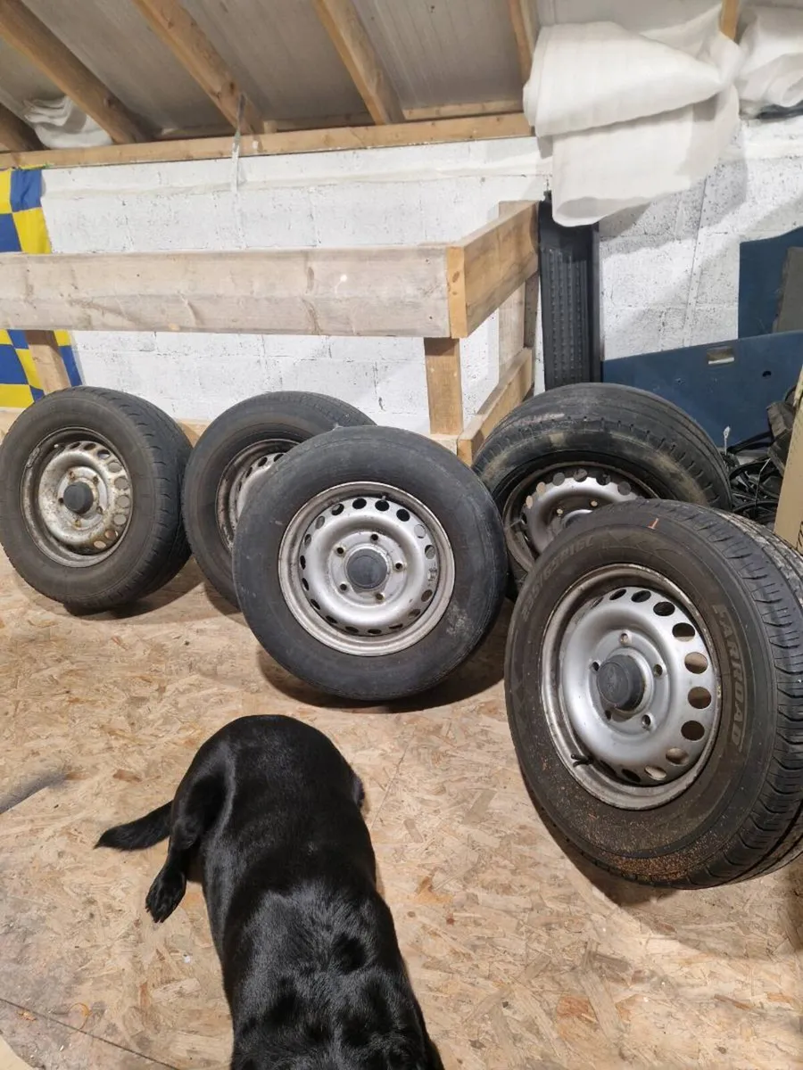 Transit Wheels