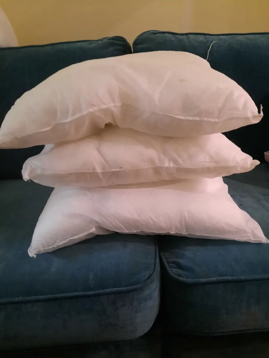 Cushion inserts - Image 2
