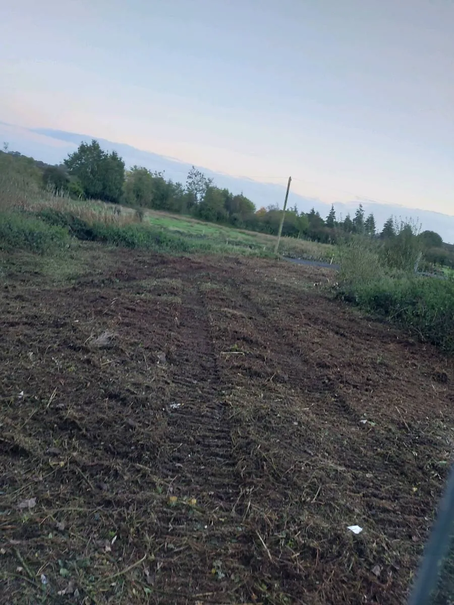 Hedge cutting and saw LGP 6 ton - Image 1