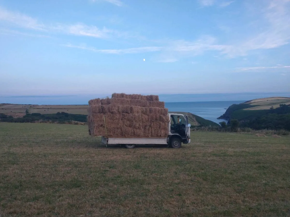 Certified Organic Square Jay Bales