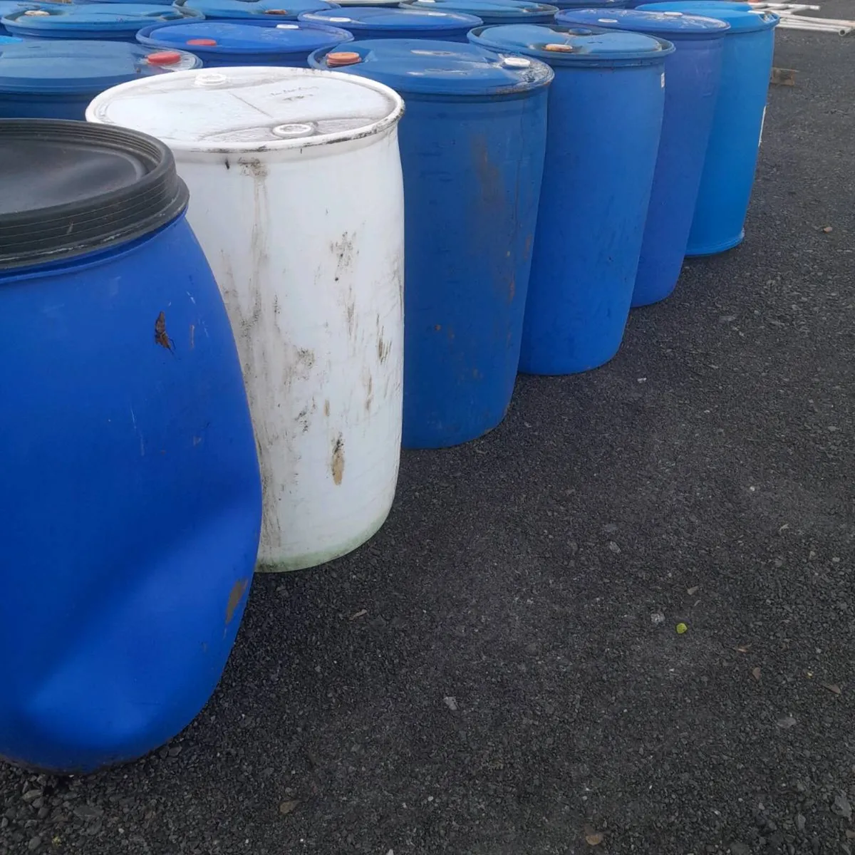 Blue Barrells - Image 2