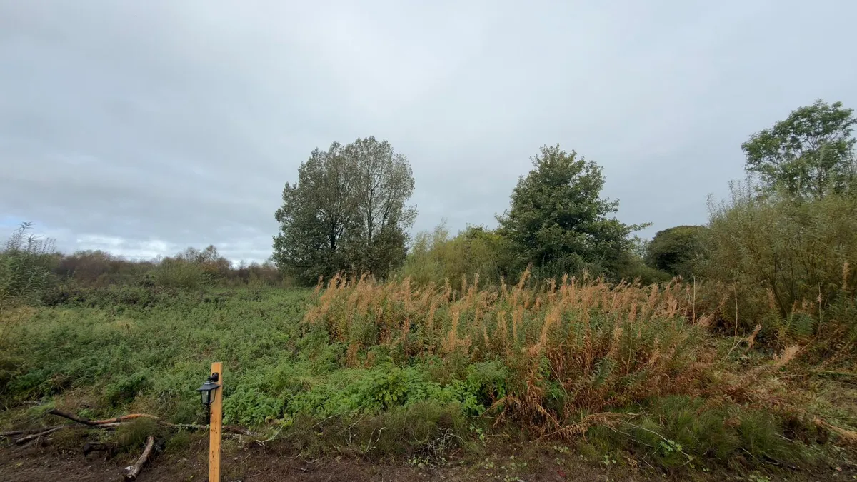 Hedge cutting and saw LGP 6 ton - Image 2