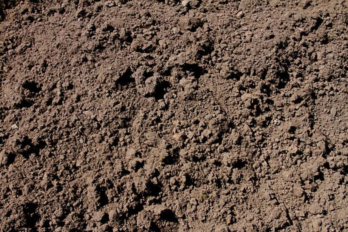 Top soil