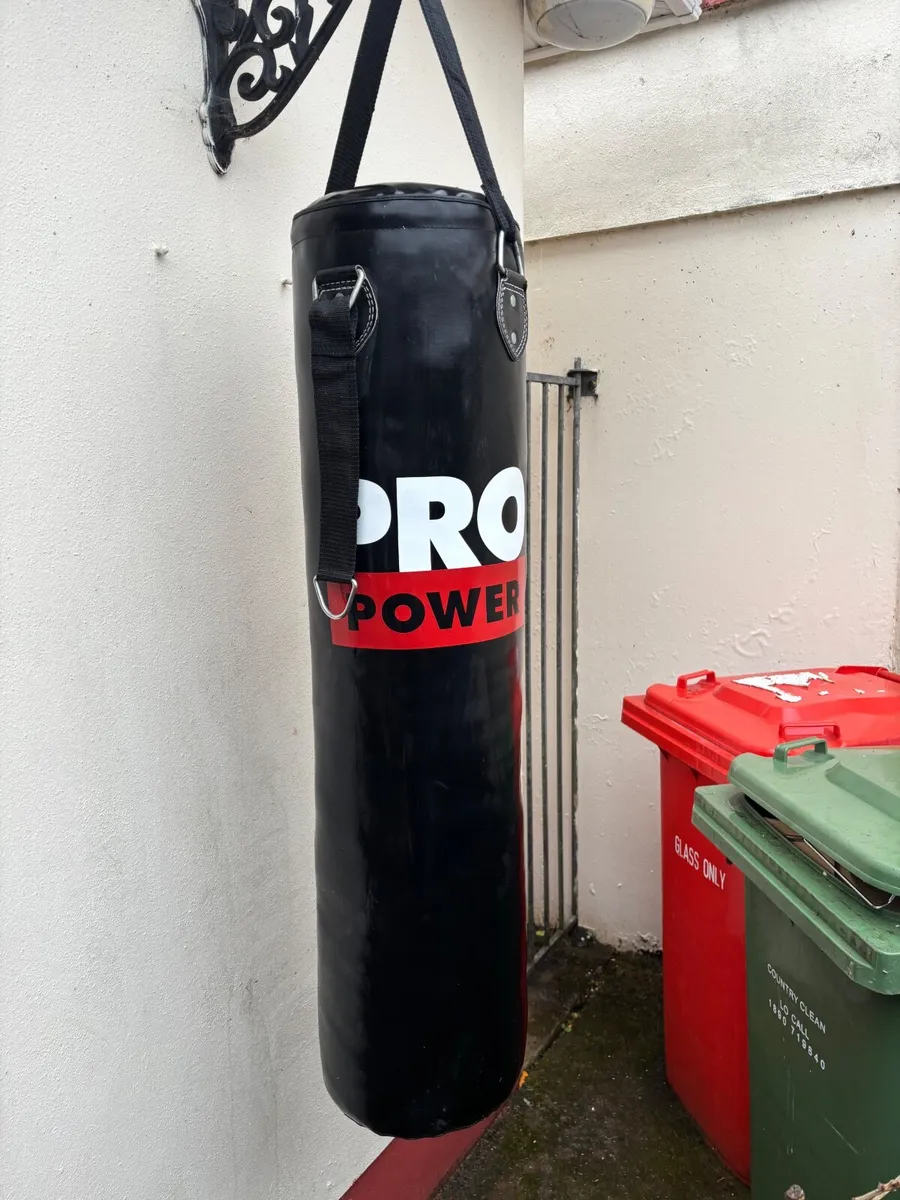 Punch bag - Image 2