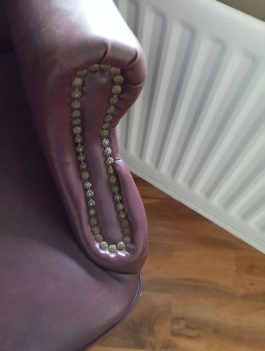 Button back chair - Image 2