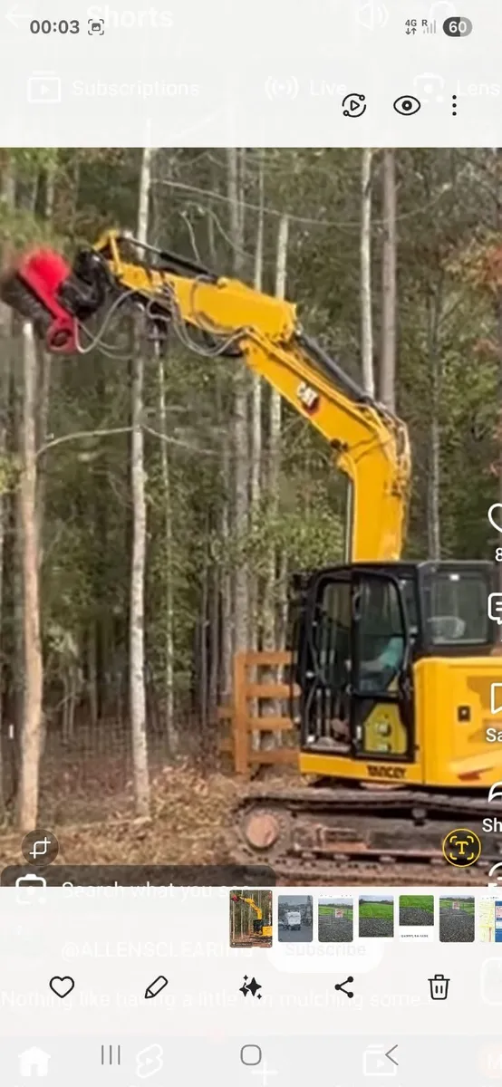 Tree/Scrub Clearing - Image 1