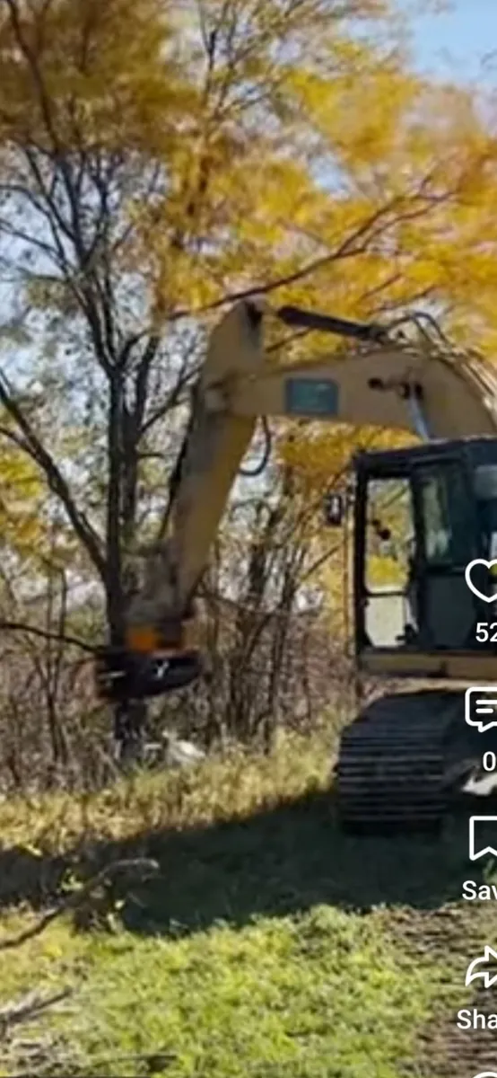 Tree/Scrub Clearing - Image 2