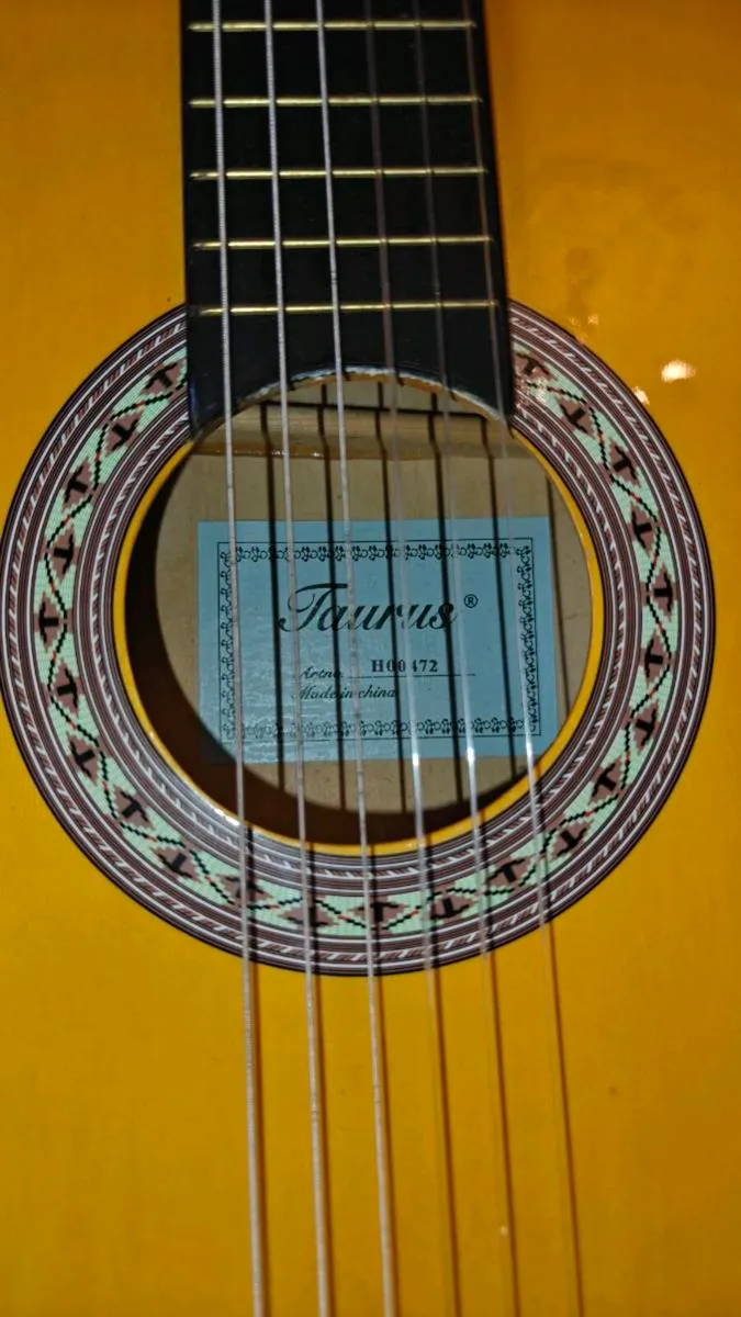 Guitar and ukulele - Image 2