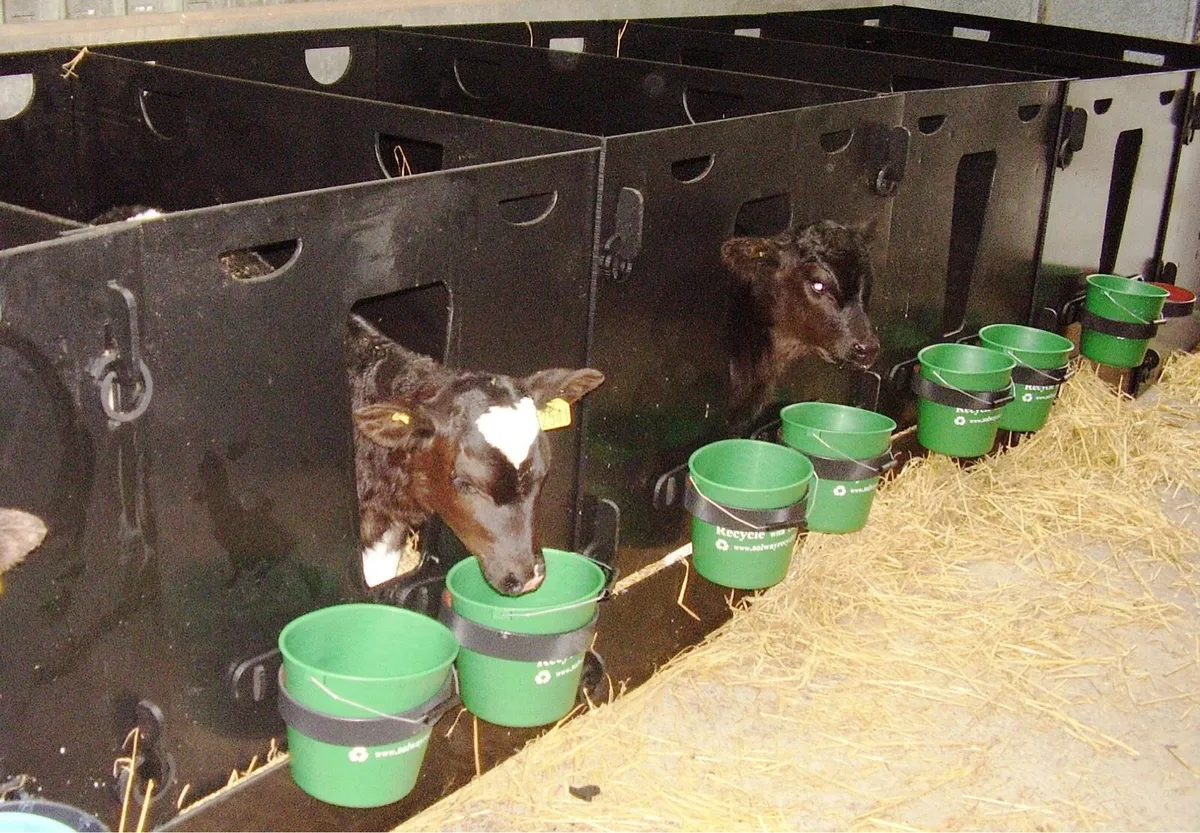 Plastic Calf Pens - Image 1