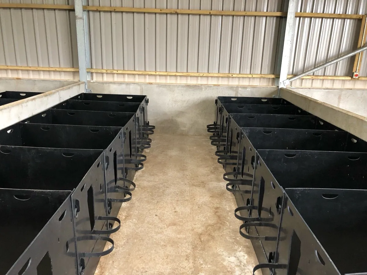 Plastic Calf Pens - Image 2