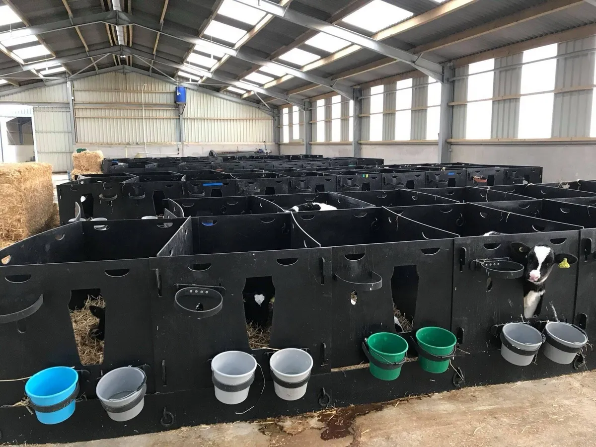 Plastic Calf Pens - Image 3