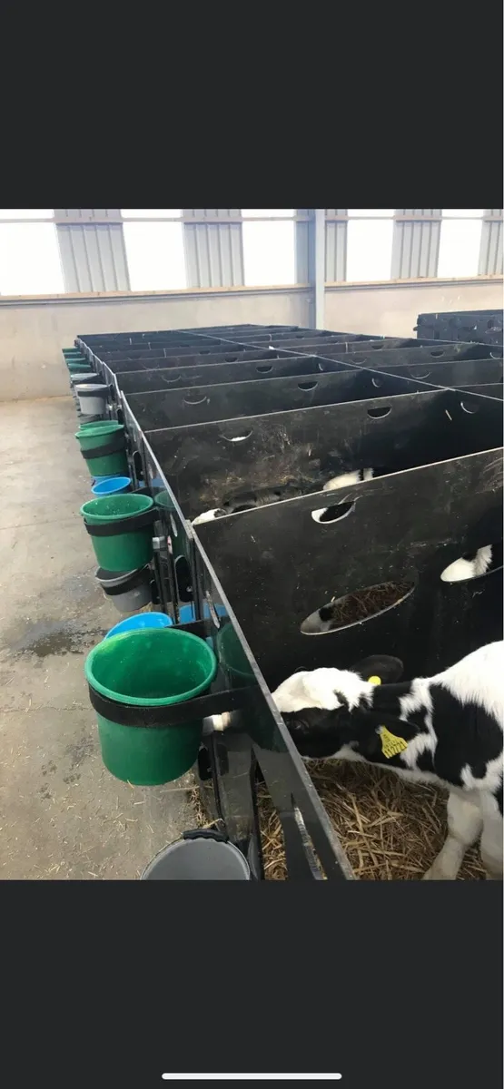 Plastic Calf Pens - Image 4