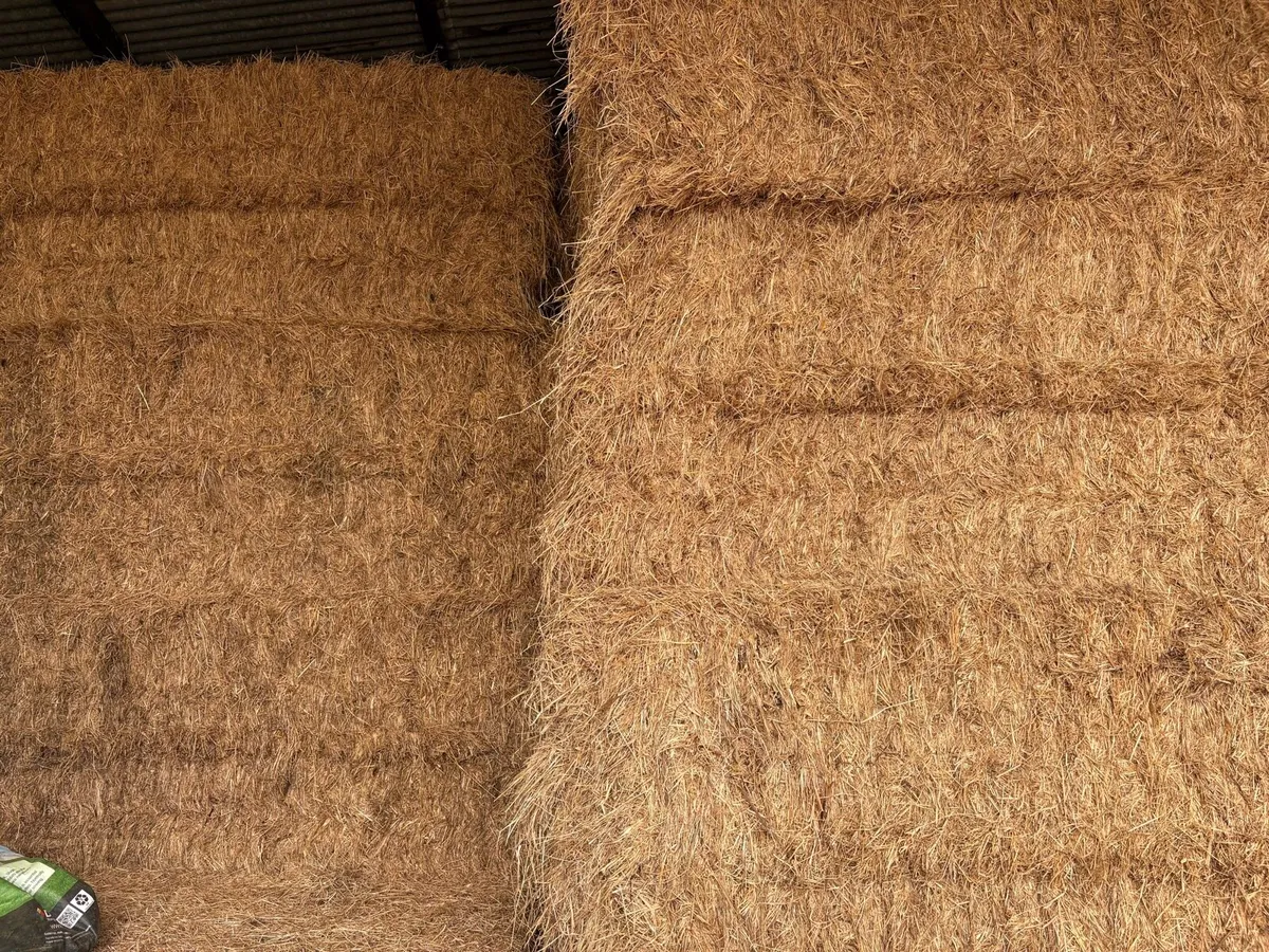 Hay - Image 1