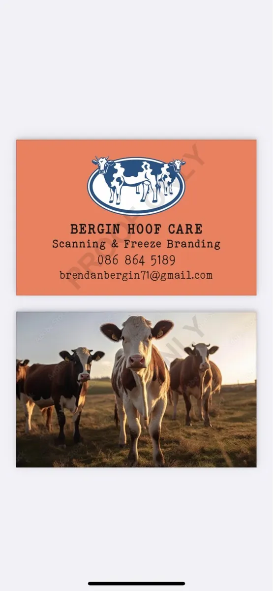 Hoof trimming - Image 2