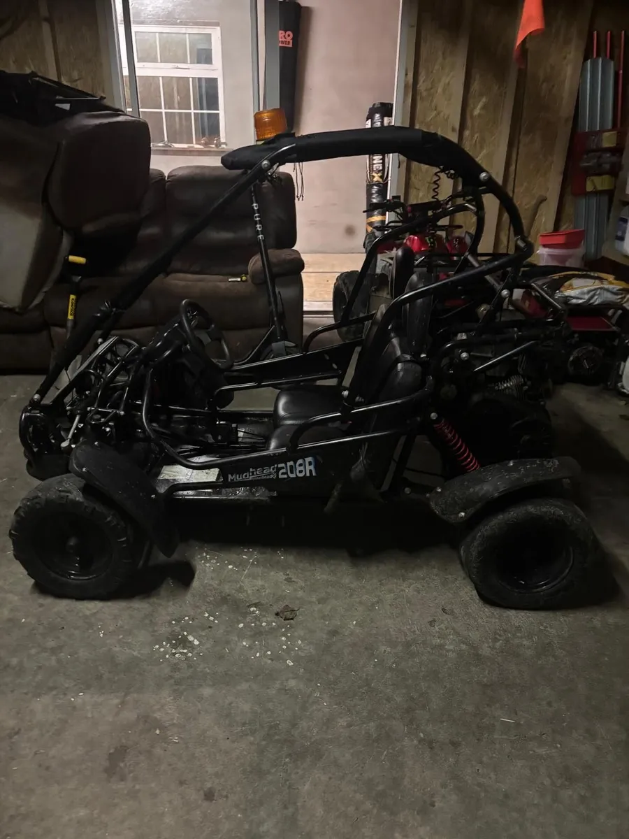 Mudhead hammerhead dune buggy - Image 2