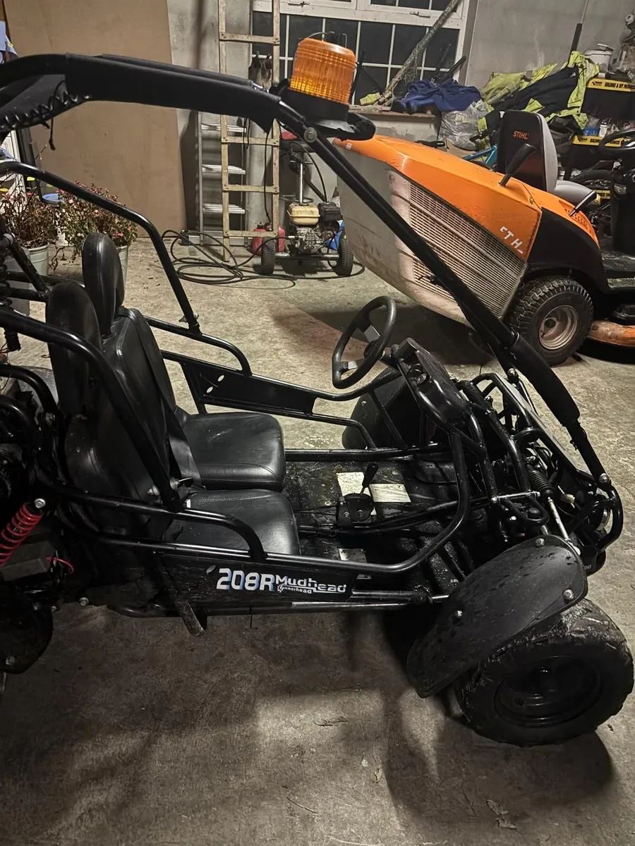 Mudhead hammerhead dune buggy - Image 3