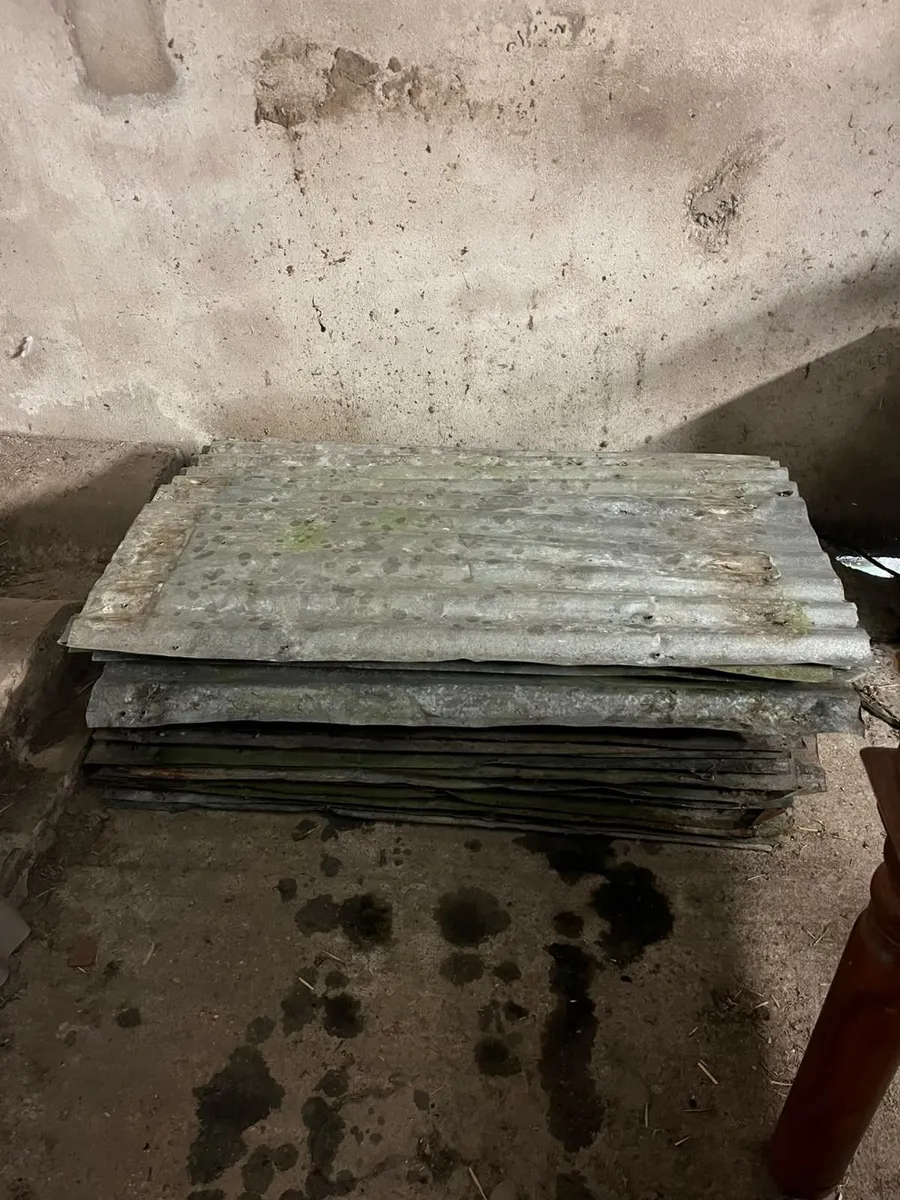 20 (approx) Galvanise Sheets
