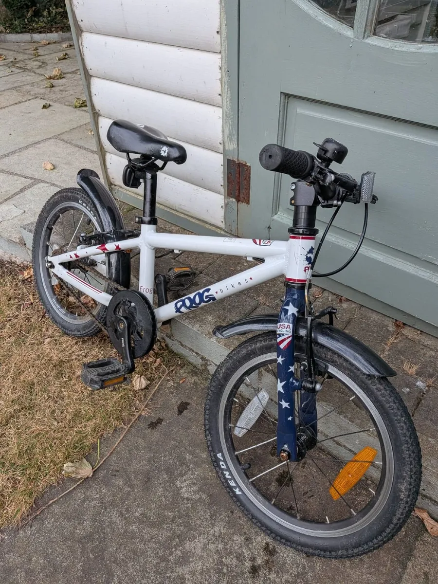 Frog 48 bike - Image 1