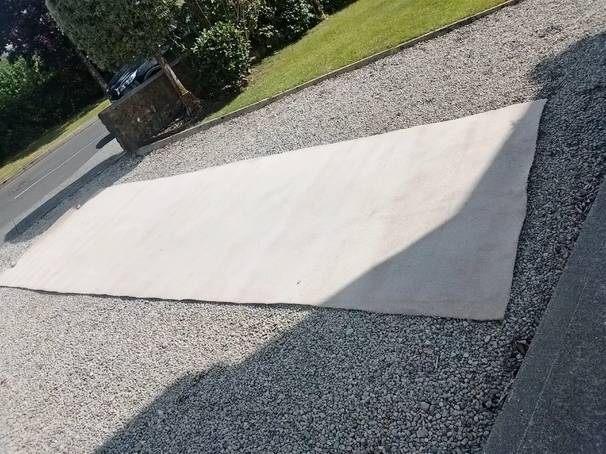 Carpet - Image 1