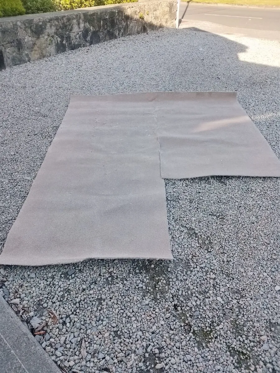 Carpet - Image 2