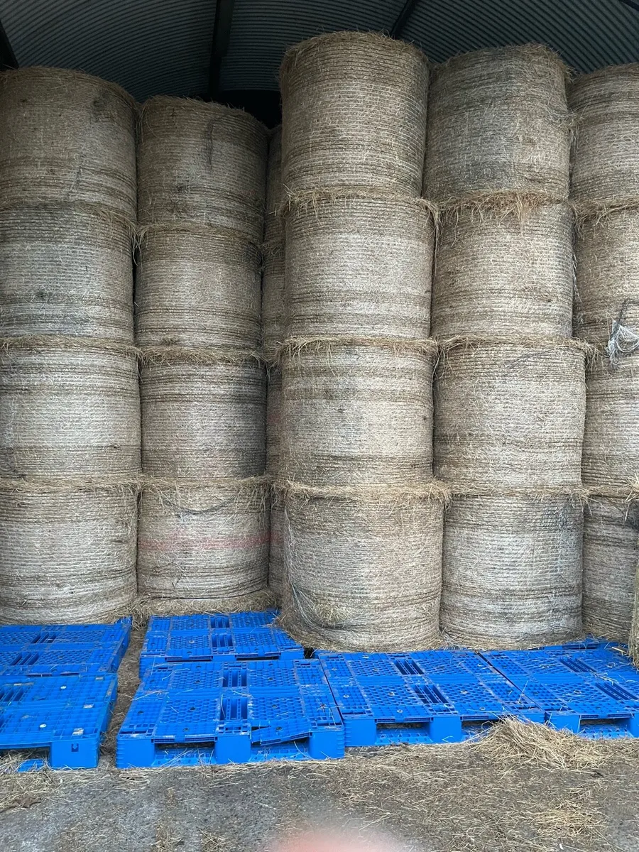 Round bales of quality hay - Image 2