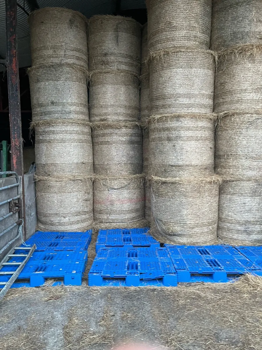 Round bales of quality hay - Image 3