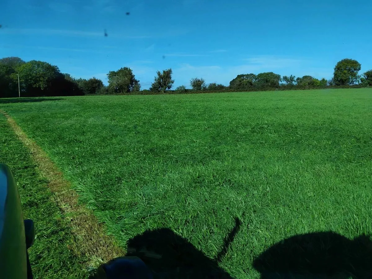 Silage - Image 1